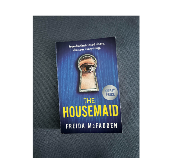 If You Love Thriller Books, I Recommend The Housemaid