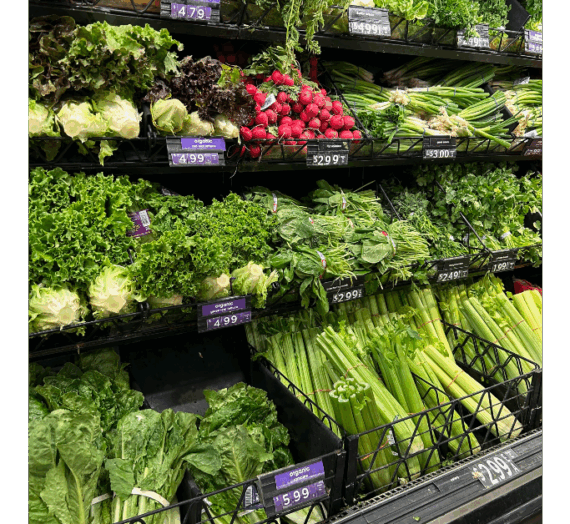 Meal Planning Saves Time And Money